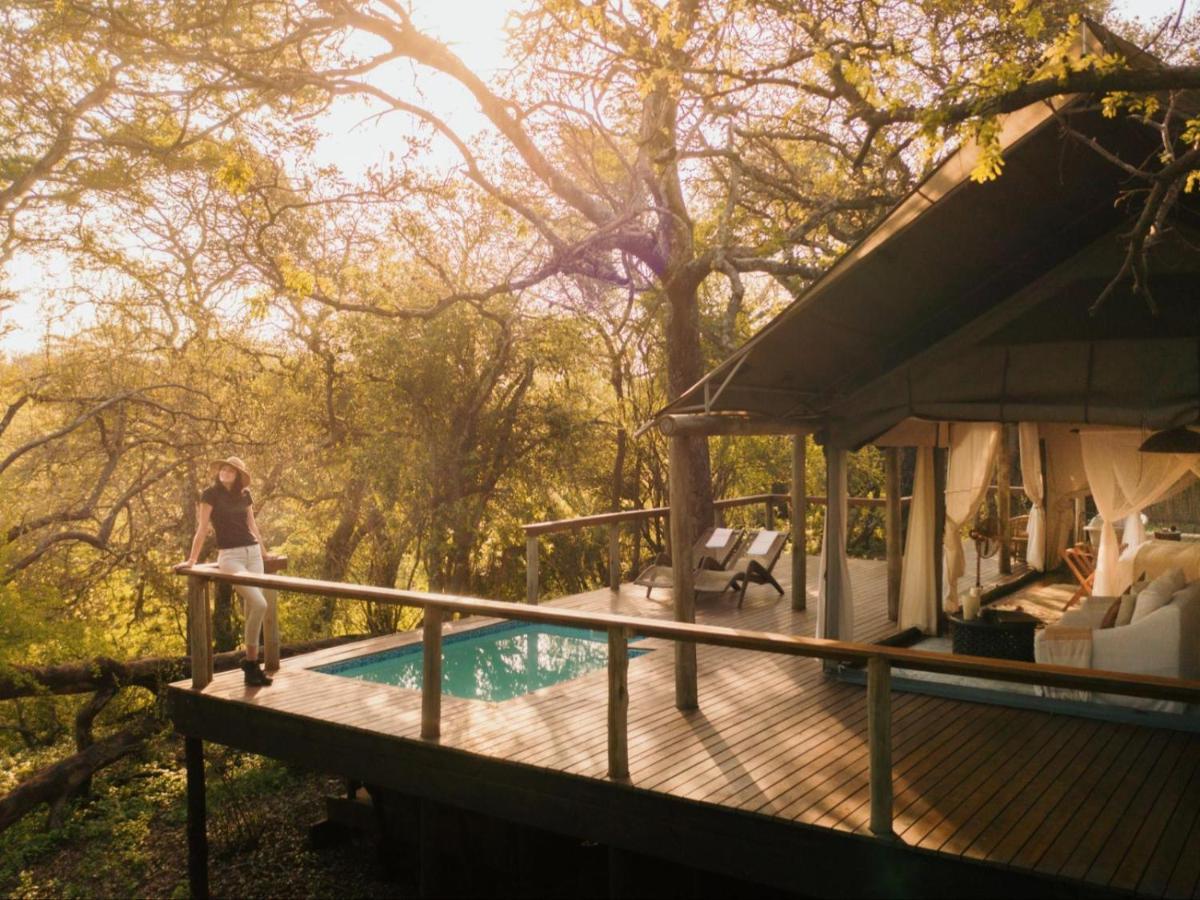 Rhino Sands Safari Camp Manyoni Private Game Reserve Eksteriør billede